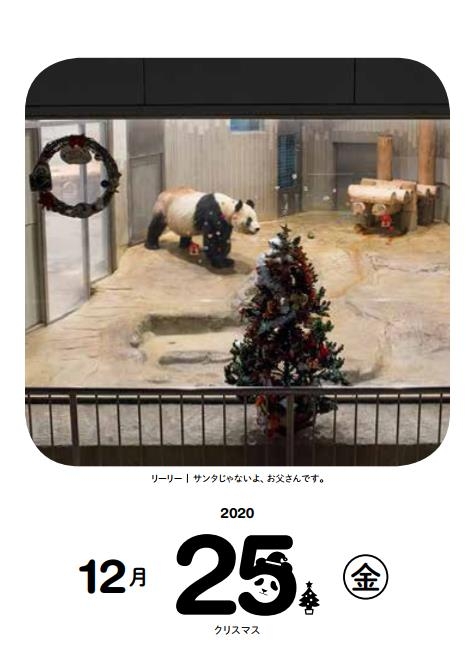 2020 日めくり!毎日シャンシャン366日カレンダー : 高氏貴博