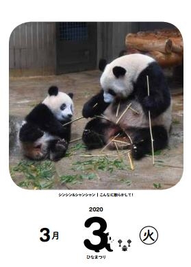 2020 日めくり!毎日シャンシャン366日カレンダー : 高氏貴博