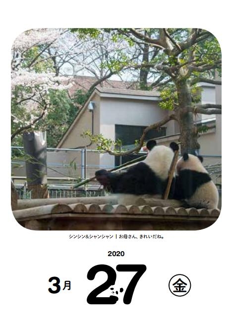 2020 日めくり!毎日シャンシャン366日カレンダー : 高氏貴博