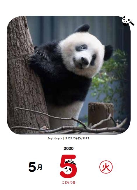 2020 日めくり!毎日シャンシャン366日カレンダー : 高氏貴博