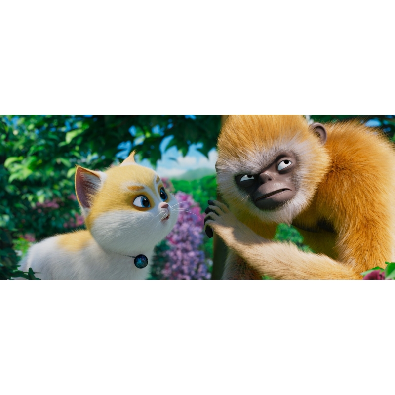 リトル キャッツ 空飛ぶねこの大冒険 hmv books online tced 4764