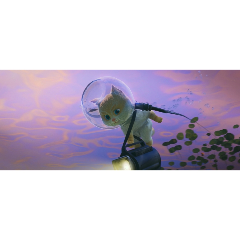 リトル キャッツ 空飛ぶねこの大冒険 hmv books online tced 4764