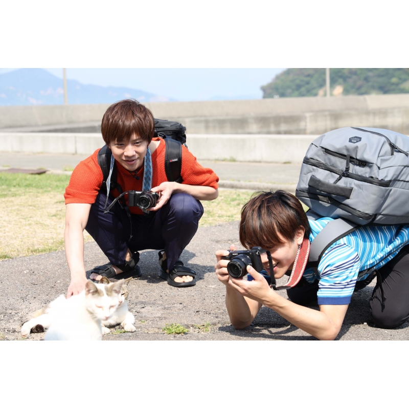 (未使用･未開封品)「ボクらと島ネコ。in 佐柳島 前編」 椎名 鯛造×深澤 大河 [DVD] ボクらと島ネコ。in 佐柳島 前編」 椎名 鯛造×深澤 大河