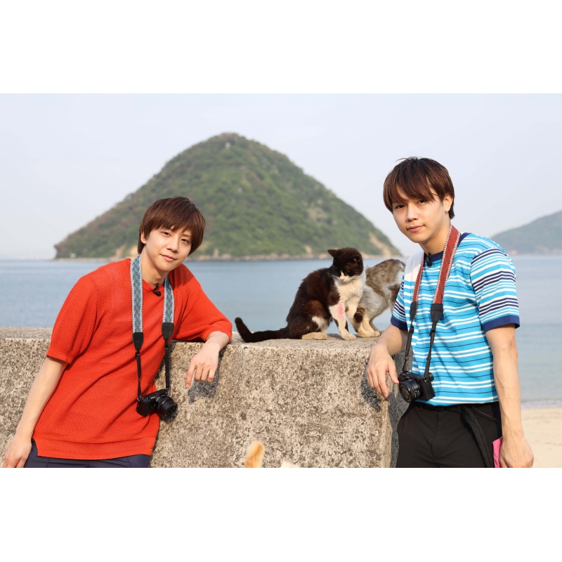 ボクらと島ネコ In 佐柳島 後編 椎名 鯛造 深澤 大河 Hmv Books Online Tced 41