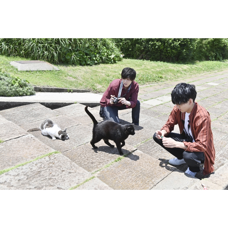 ボクらと島ネコ。in 城ヶ島 前編」 牧島輝×加藤将 | HMV&BOOKS online