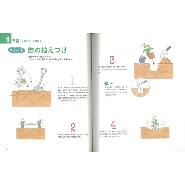 バーゲン本 緑のカーテンの育て方 イラストでわかりやすい 島田有紀子 Hmv Books Online