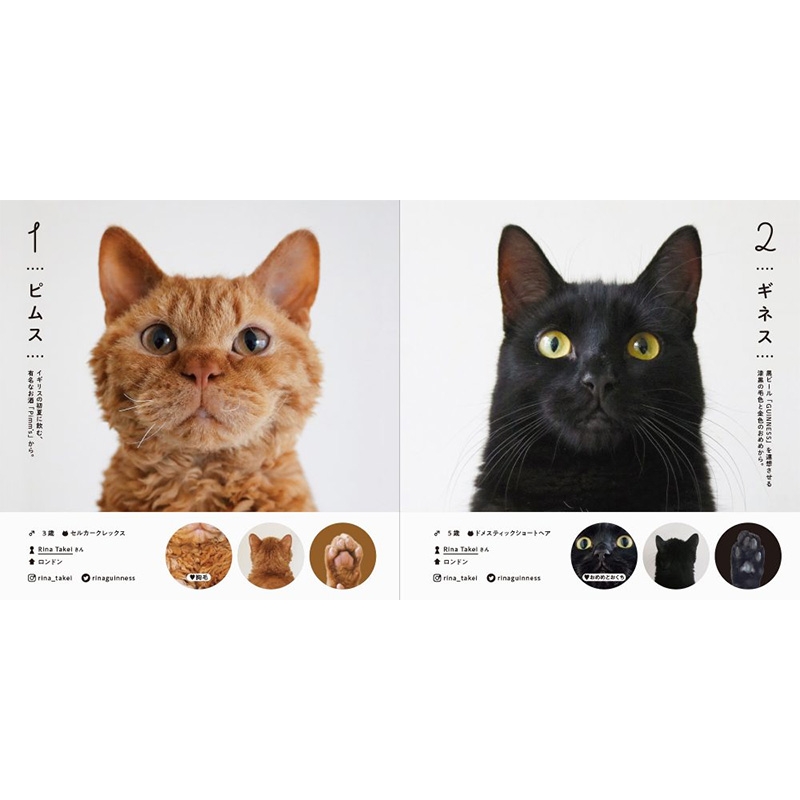 ねこさま名鑑100 : パイインターナショナル | HMV&BOOKS online - 9784756253071