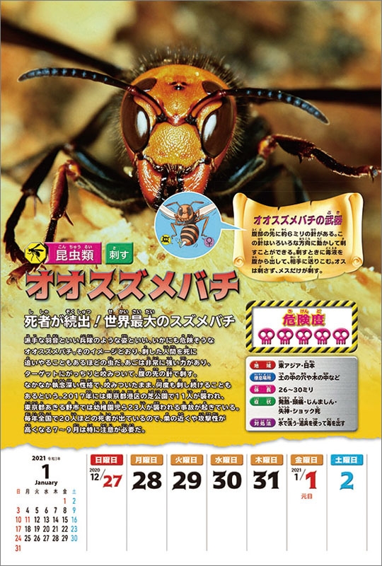 加藤英明の超危険生物カレンダー 2021年カレンダー 加藤英明 Hmv Books Online 21cl626
