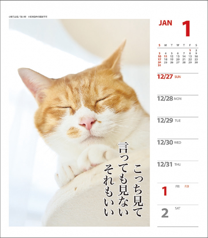 猫川柳 週めくり 21年カレンダー 21年カレンダー Hmv Books Online 21cl384