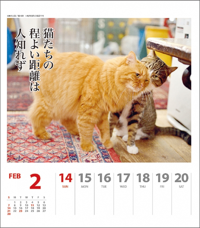 猫川柳 週めくり 21年カレンダー 21年カレンダー Hmv Books Online 21cl384