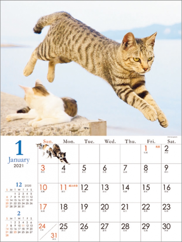 飛び猫 21年カレンダー 21年カレンダー Hmv Books Online 21cl402