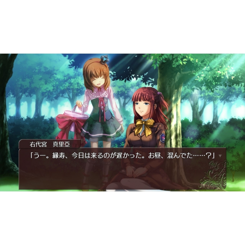 Nintendo Switch - うみねこのなく頃に咲 猫箱と夢想の交響曲 Amazon.com: うみねこのなく頃に咲 ～猫箱と夢想の交響曲～ 完全