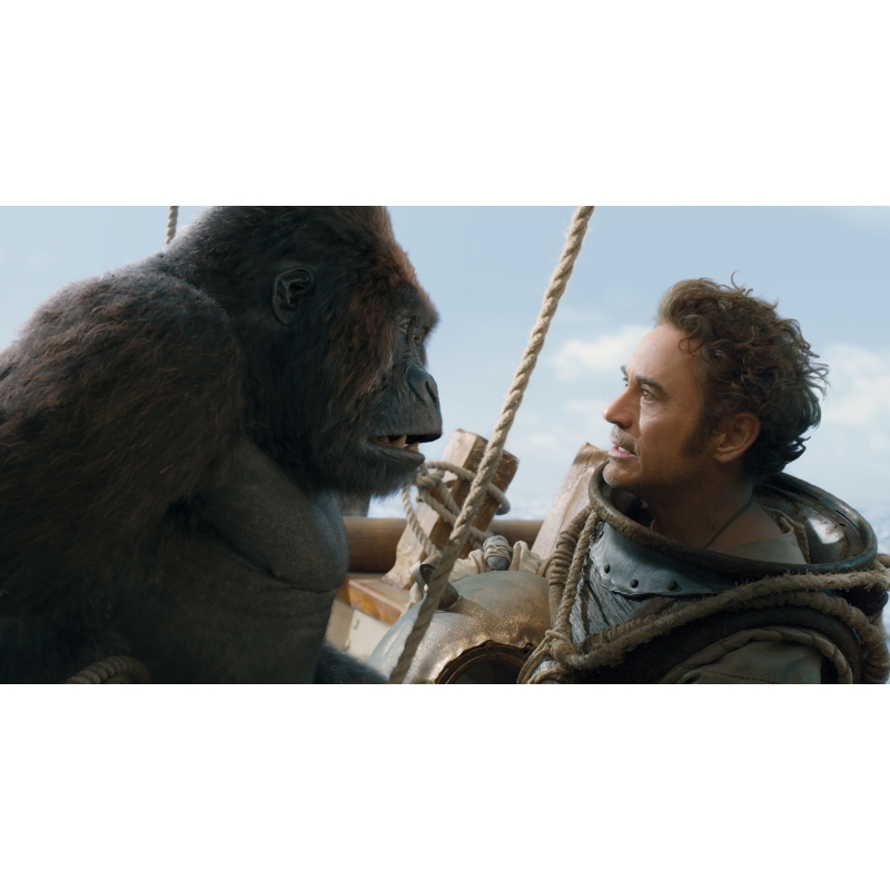 ドクター・ドリトル ブルーレイ+DVD : ドクター・ドリトル