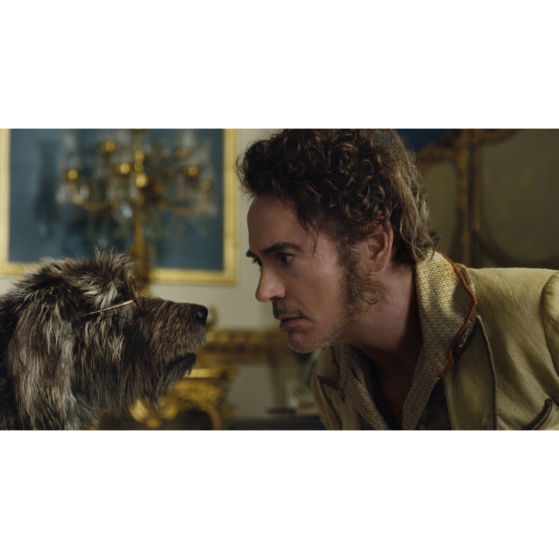 ドクター・ドリトル ブルーレイ+DVD : ドクター・ドリトル