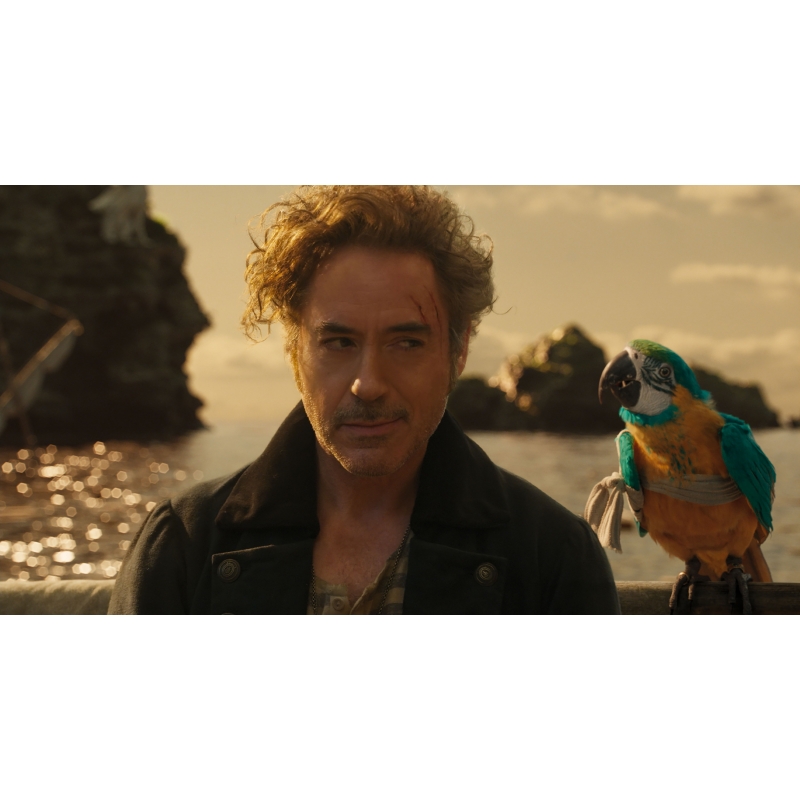 ドクター・ドリトル 4K Ultra HD+ブルーレイ : ドクター