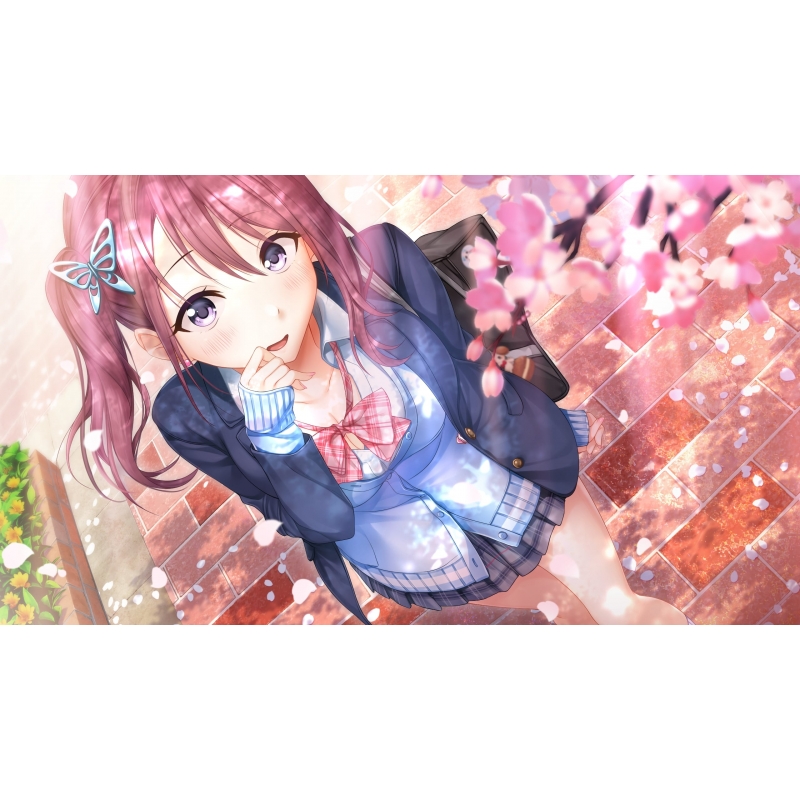 アイキス2 : Game Soft (Nintendo Switch)Game Soft (Nintendo