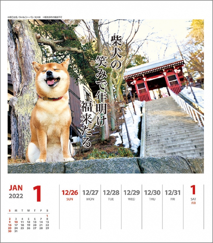 犬川柳 週めくり 22年カレンダー 22年カレンダー Hmv Books Online 22cl3