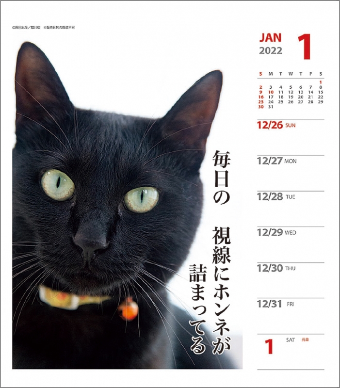 猫川柳 週めくり 22年カレンダー 22年カレンダー Hmv Books Online 22cl384