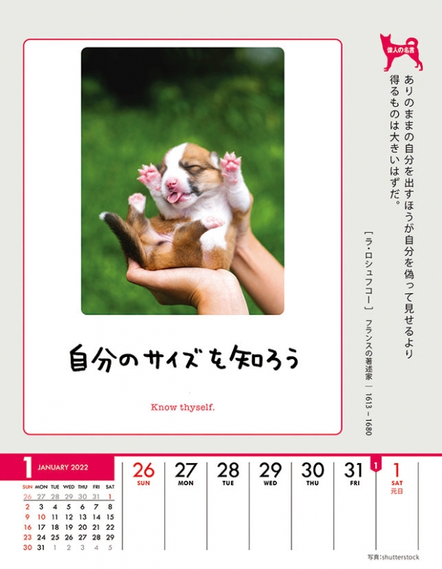 人生はワンチャンス 22年カレンダー 22年カレンダー Hmv Books Online 22cl3
