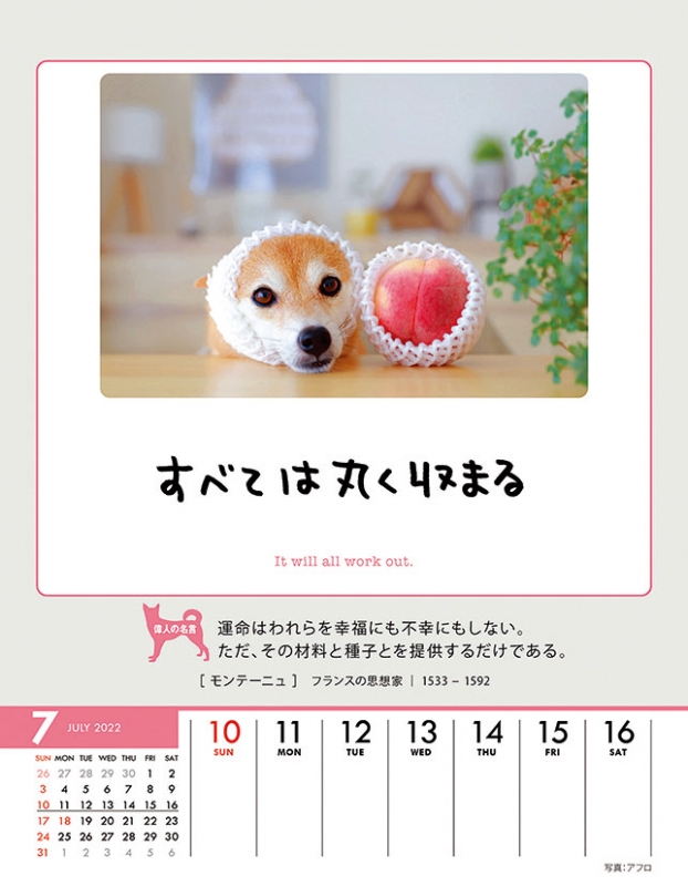 人生はワンチャンス 22年カレンダー 22年カレンダー Hmv Books Online 22cl3