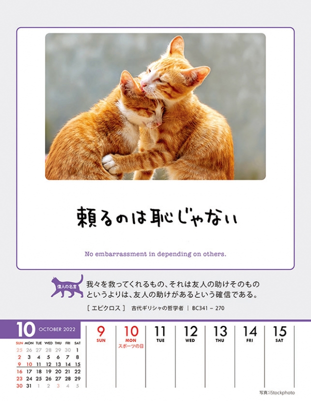 最大58％オフ！ 猫ちゃん 名言カレンダー 人生はニャンとかなる 卓上 壁掛け カレンダー