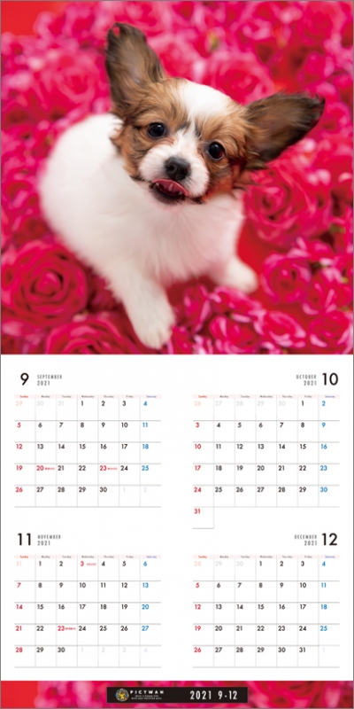 パピヨン / 2022年カレンダー : 2022年カレンダー | HMVu0026BOOKS online - 22CL1216