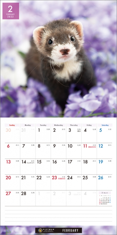 フェレット / 2022年カレンダー : 2022年カレンダー | HMVBOOKS online - 22CL1230