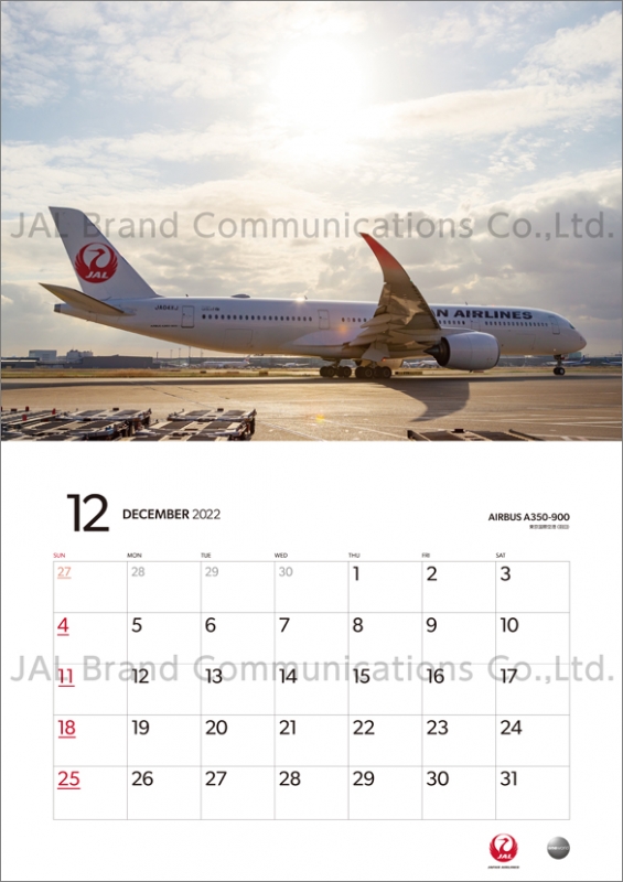 JAL「FLEET」（普通判） / 2022年カレンダー : 2022年カレンダー