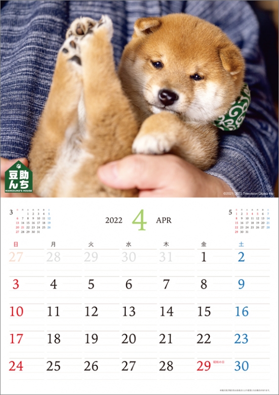 豆助んち 25代目豆助カレンダー22 22年カレンダー 22年カレンダー Hmv Books Online 22cl390