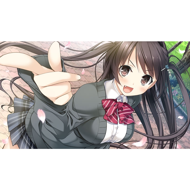 Amazon.co.jp: キストリロジー - Switch : Video Games