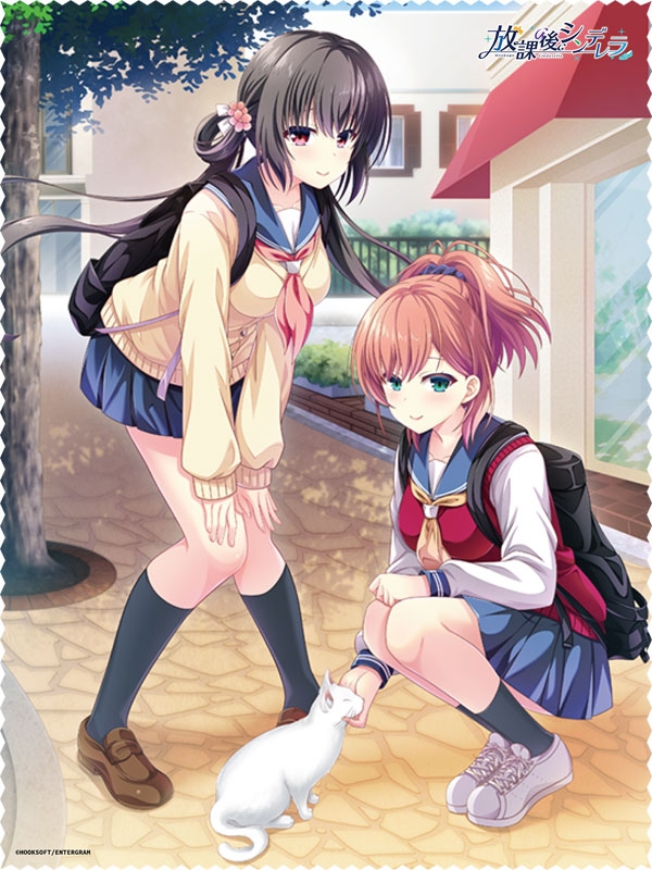 PS4】放課後シンデレラ 完全生産限定版 : Game Soft