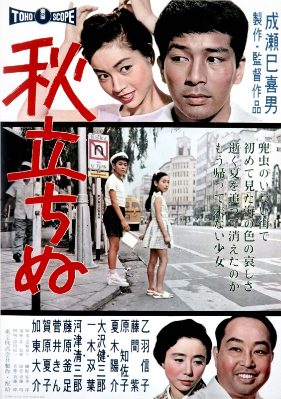 Aki Tachinu | HMV&BOOKS online : Online Shopping