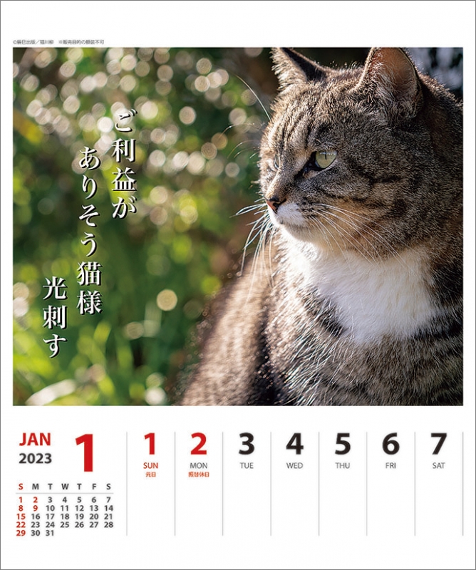 猫川柳 週めくり / 2023年カレンダー : 2023年カレンダー | HMV&BOOKS