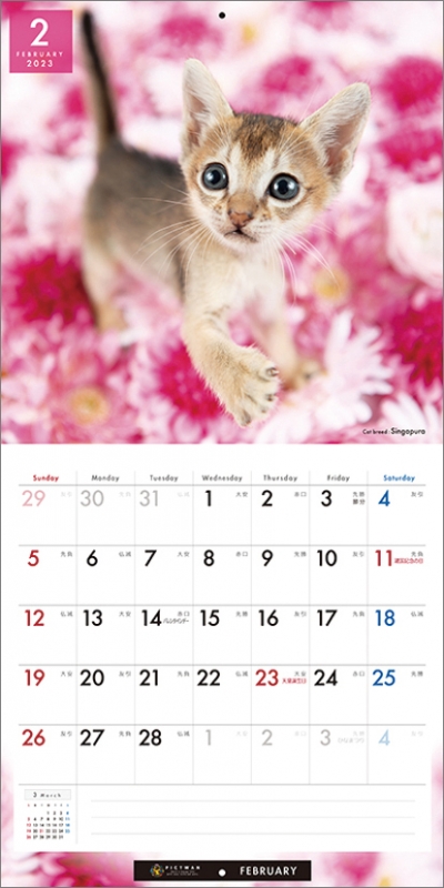 キャット・セレクション 2023年 カレンダー 猫 仔猫 通販