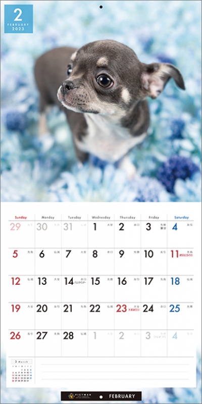 チワワ / 2023年カレンダー : 2023年カレンダー | HMV&BOOKS online