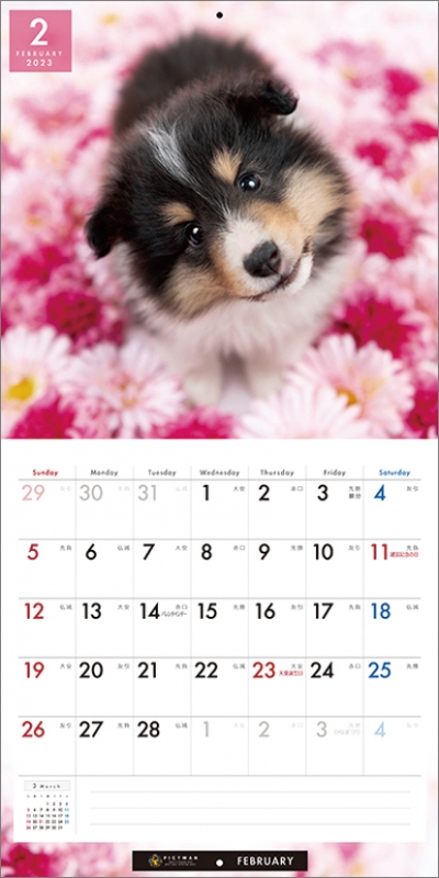 シェットランド・シープドッグ 2023年カレンダー 2023年カレンダー HMVBOOKS online 23CL1225