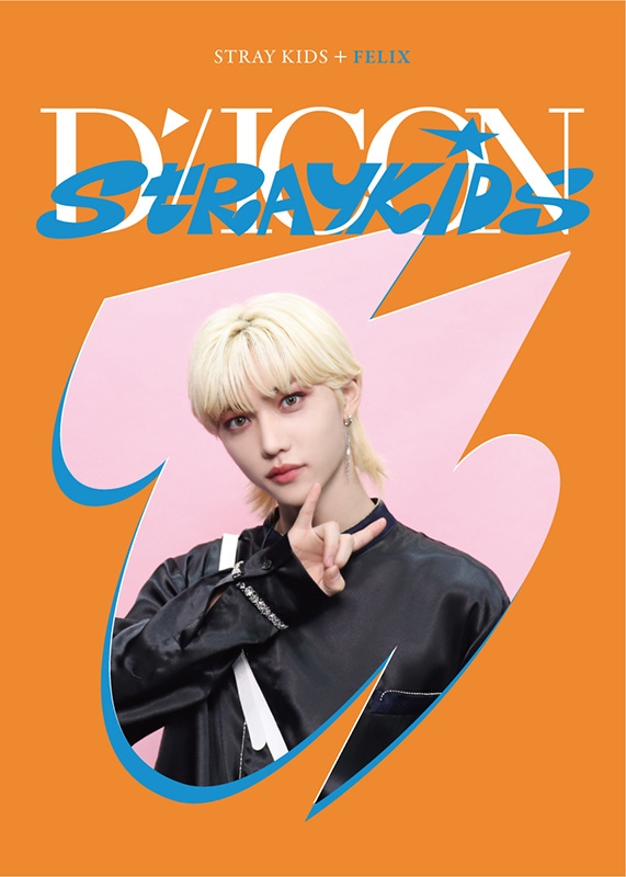 DICON D'FESTA MINI EDITION STRAY KIDS FELIX《全額内金》 : Stray