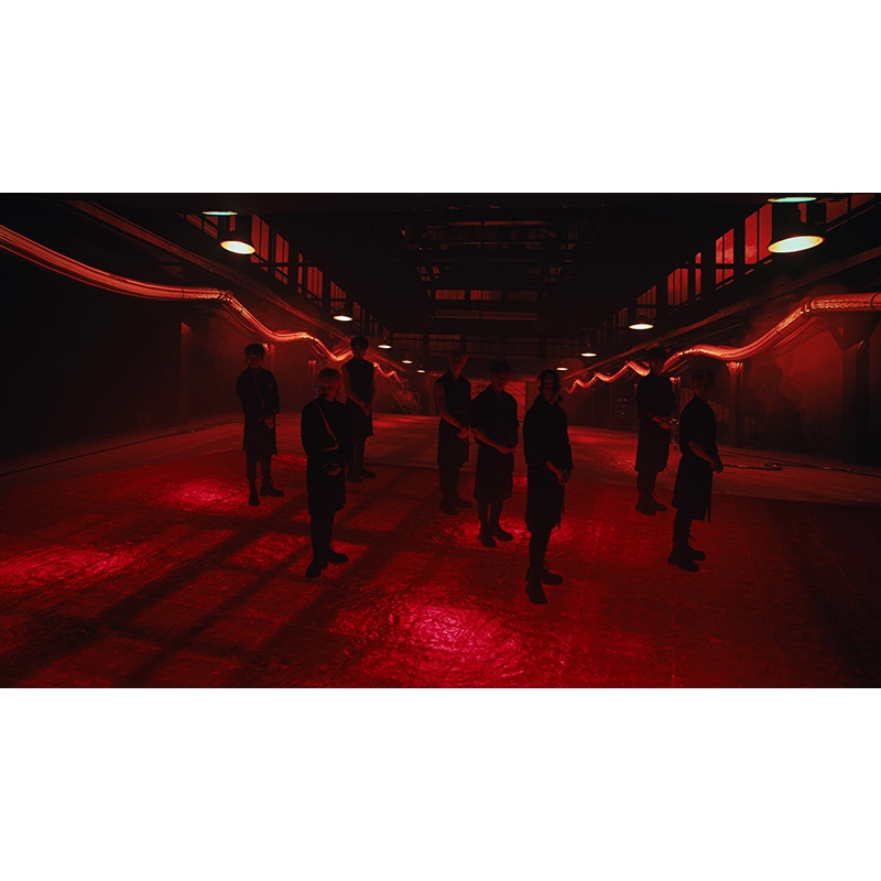 D'FESTA THE MOVIE STRAY KIDS version/DVD : Stray Kids