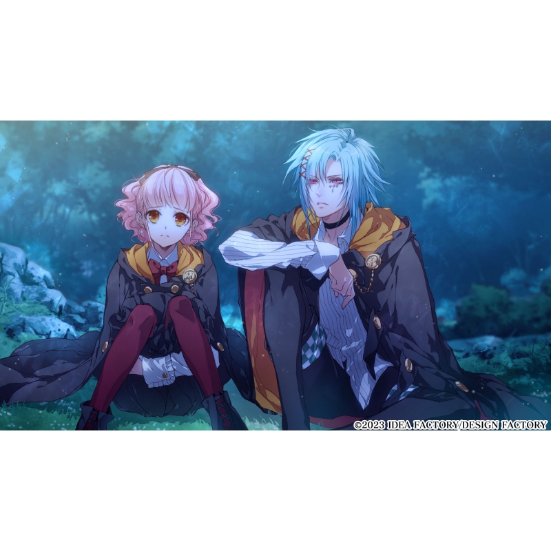 ワンド オブ フォーチュン R for Nintendo Switch 通常版 : Game Soft