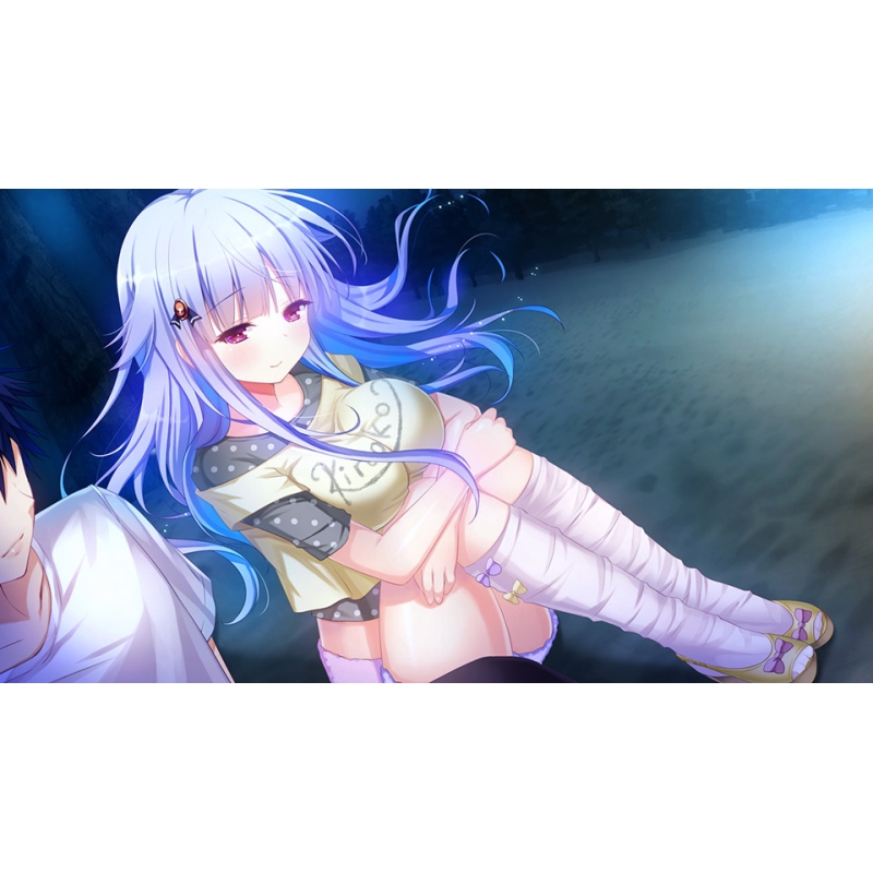 Nintendo Switch】シロガネ×スピリッツ！通常版 : Game Soft (Nintendo
