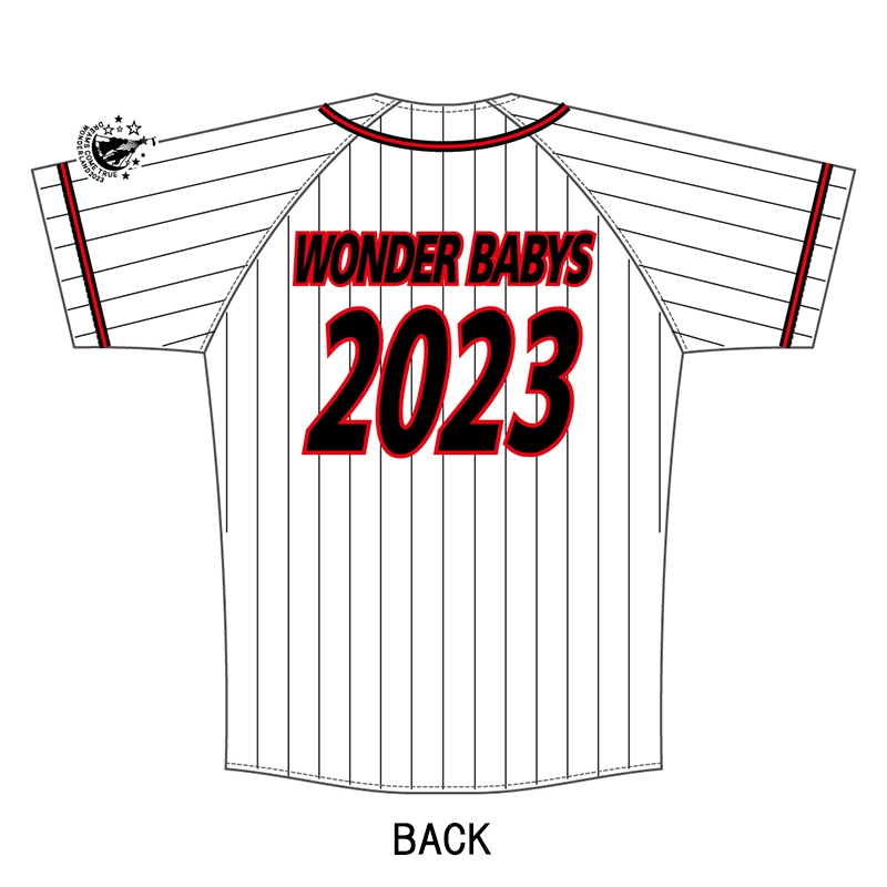 ドリカムワンダーランド2023 ベースボールTシャツ tic-guinee.net