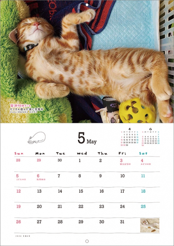 へそ天にゃんこ / 2024年カレンダー : 2024年カレンダー | HMV&BOOKS
