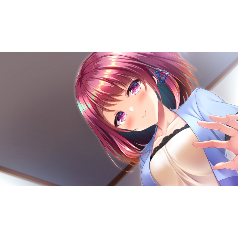 Nintendo Switch】どっちのiが好きですか？ : Game Soft