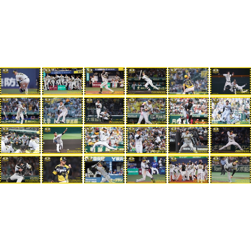 2023年セントラルリーグ優勝記念セット 阪神タイガース ライセンスグッズ2023年 セ・リーグ優勝グッズ