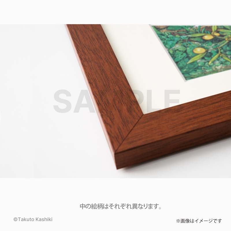 高級複製原画(3巻オモテ) / ハクメイとミコチ : 樫木祐人 高級複製原画(3巻オモテ) / ハクメイとミコチ : 樫木祐人