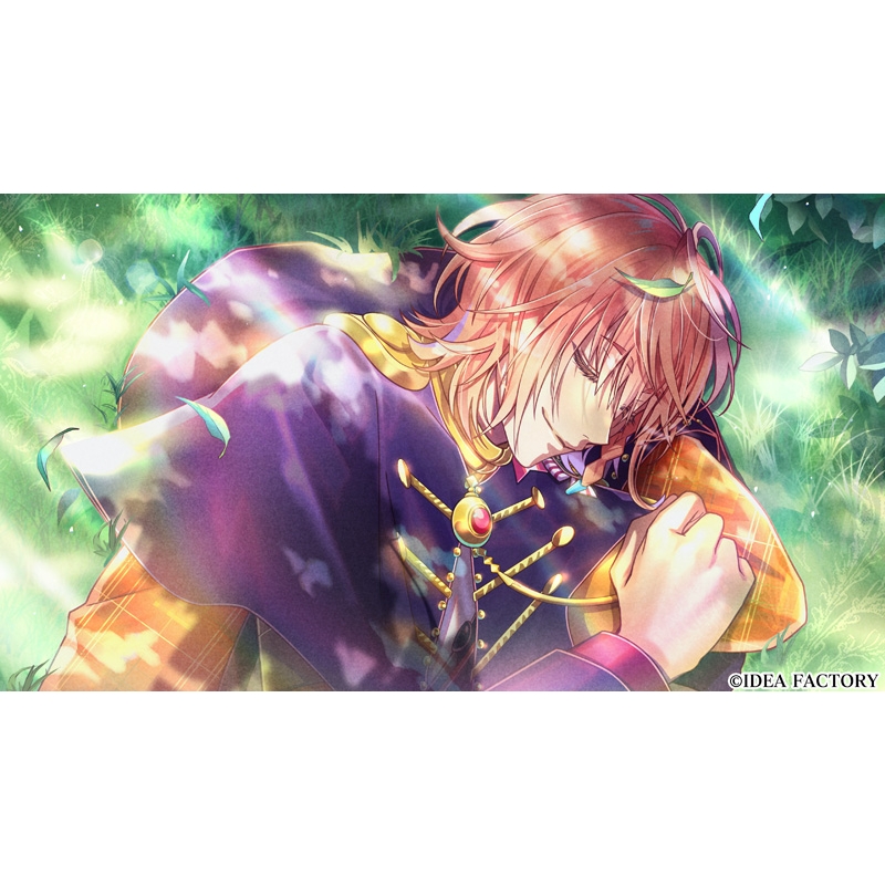 Switch ミストニアの翅望 The Lost Delight 特装版 mystonia-724x1024.jpg