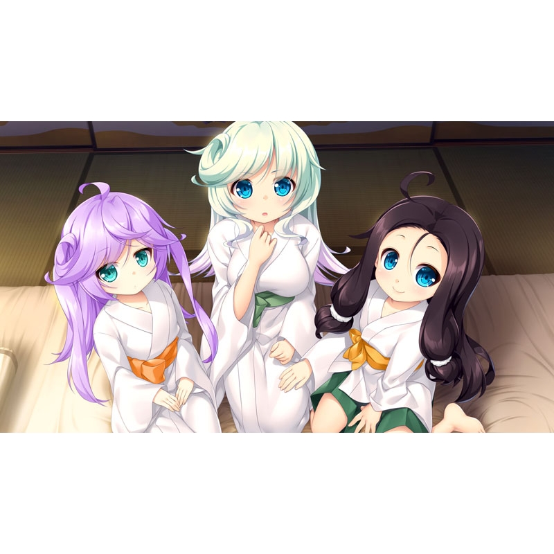 戦国†恋姫X ～乙女絢爛☆戦国絵巻～北条家騒乱編 : Game Soft