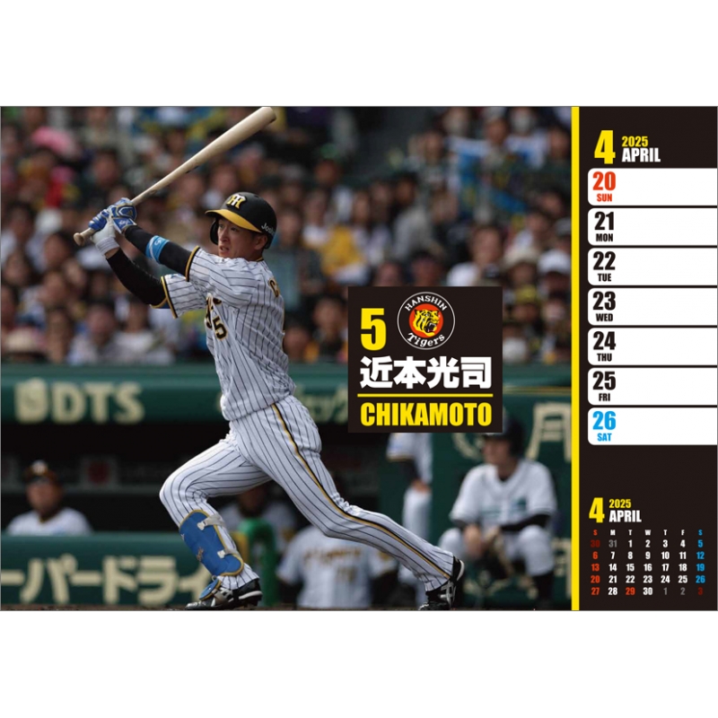 阪神タイガース週めくり / 2025年卓上カレンダー : 阪神 阪神タイガース週めくり / 2025年卓上カレンダー : 阪神