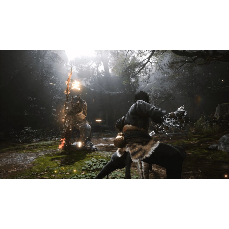 黒神話：悟空 [PS5]の人気商品・通販・価格比較 - 価格.com
