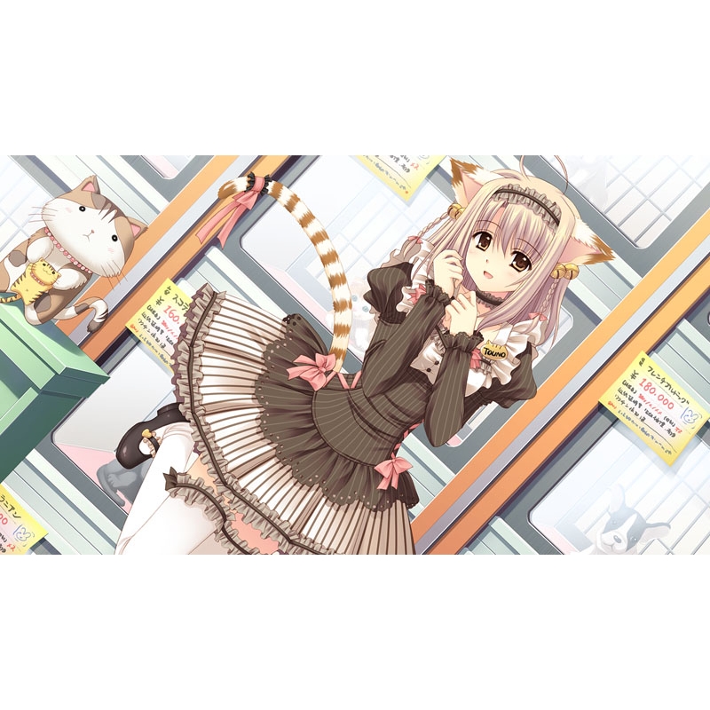 世界征服彼女 完全生産限定版 : Game Soft (Nintendo Switch
